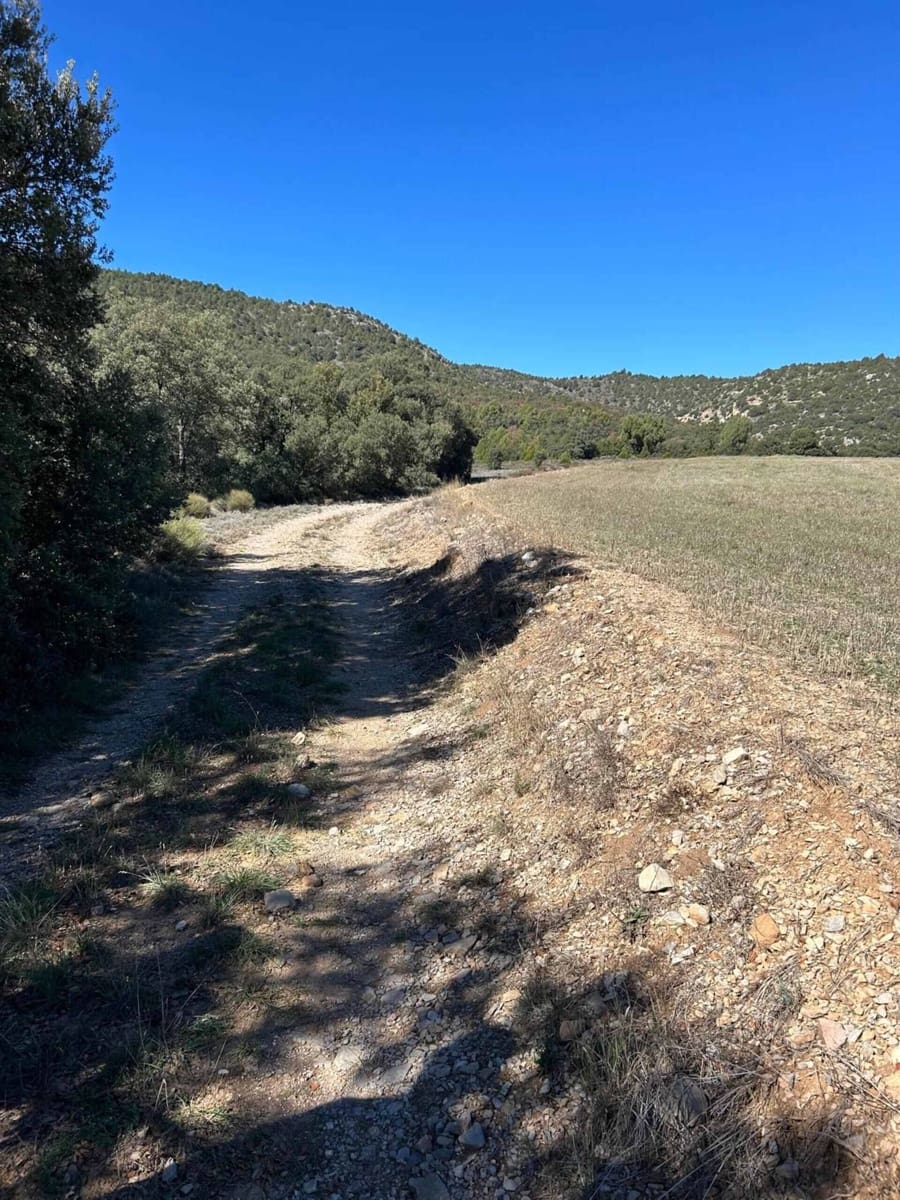 Finca/Landehus til salg i El Toro - € 416.000 (Ref: 9239269)