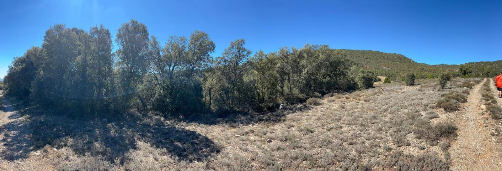 Finca/Landehus til salg i El Toro - € 416.000 (Ref: 9239269)