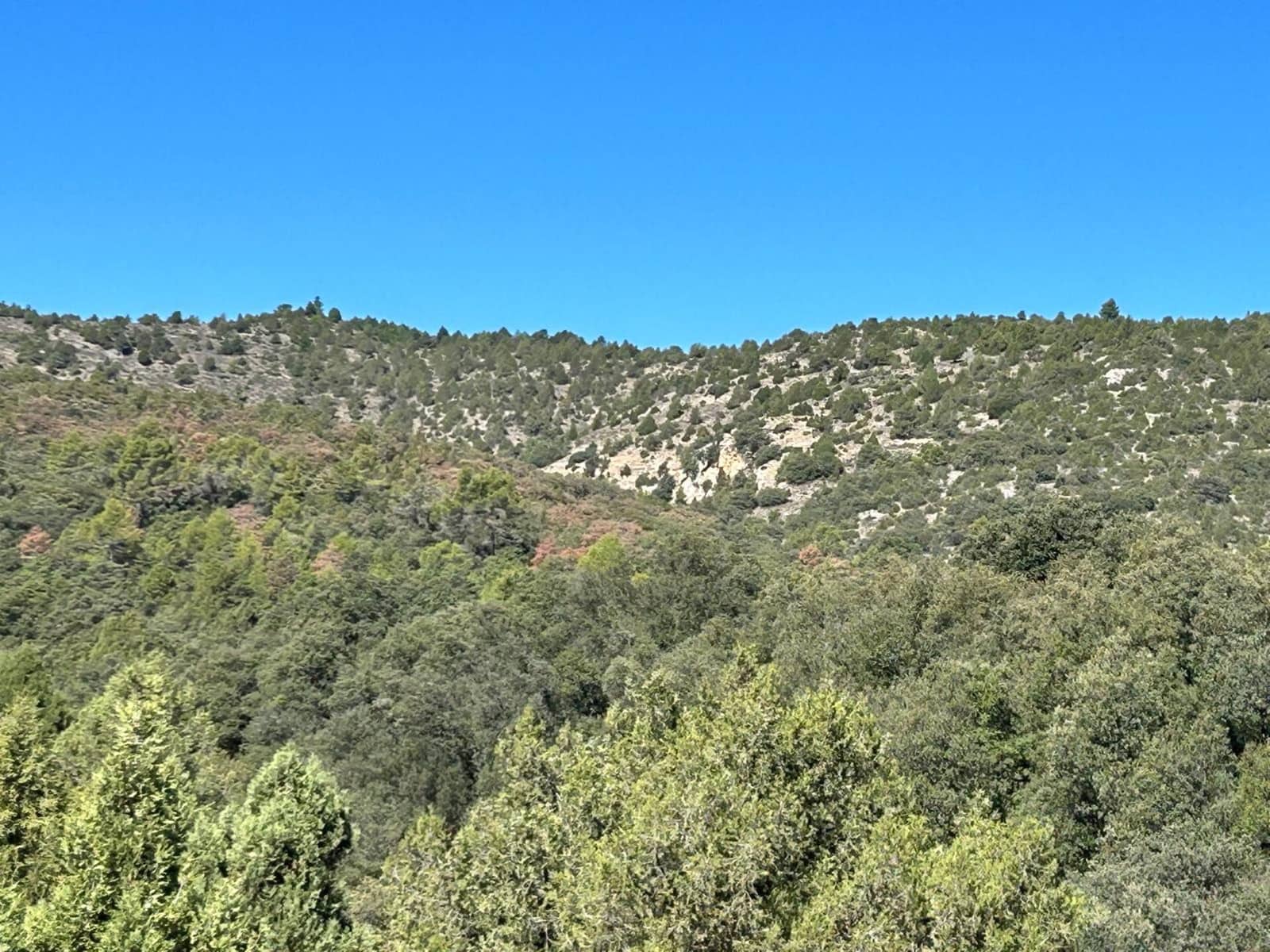 Finca/Landehus til salg i El Toro - € 416.000 (Ref: 9239269)