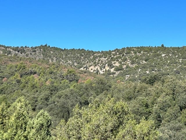 Maalaistalo myytävänä paikassa El Toro - 416 000 € (Ref: 9239269)