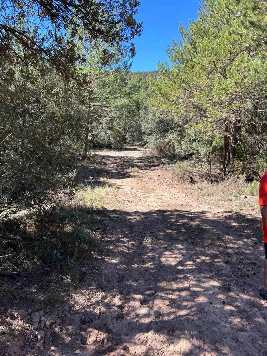 Finca/Landehus til salg i El Toro - € 416.000 (Ref: 9239269)