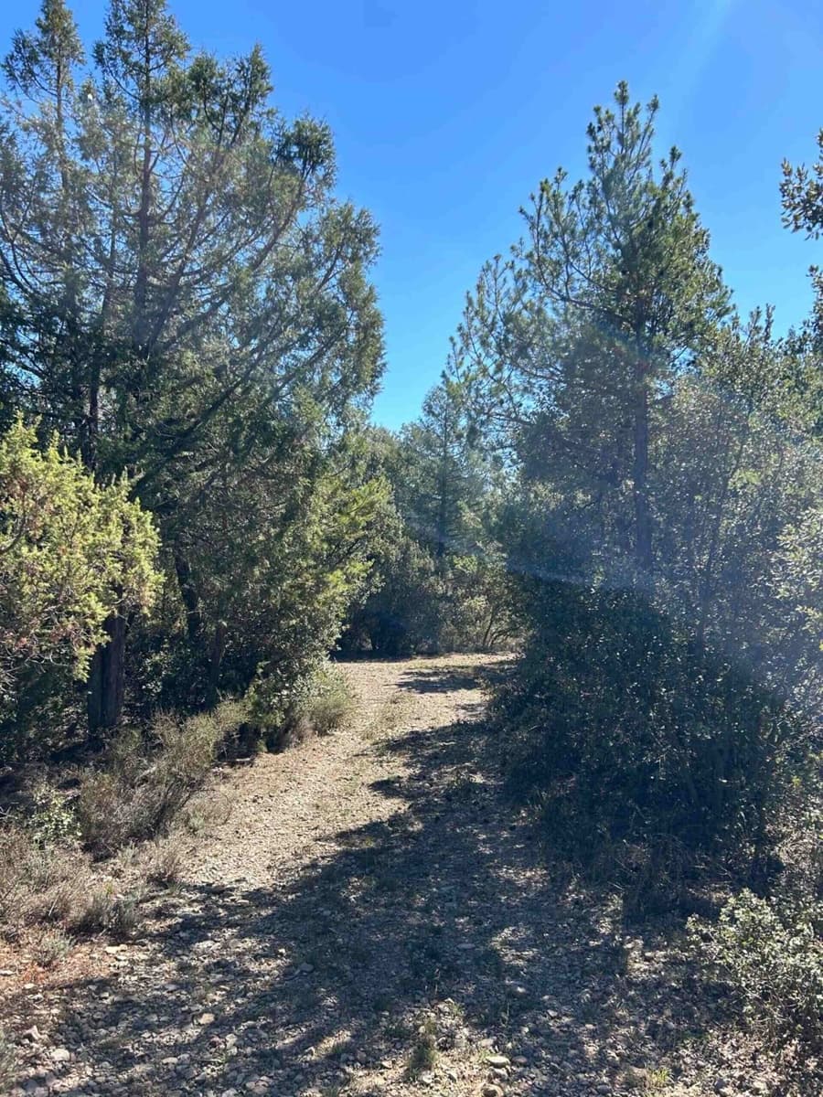 Finca/Landehus til salg i El Toro - € 416.000 (Ref: 9239269)