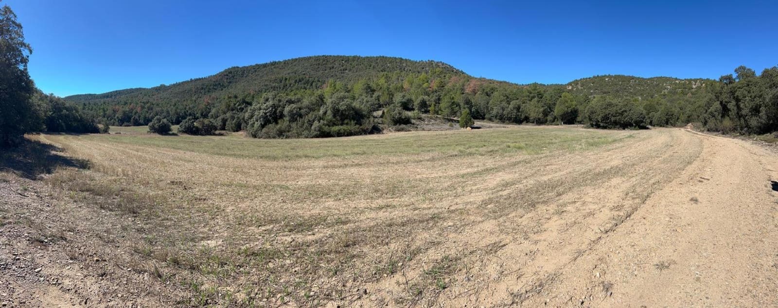 Finca/Landehus til salg i El Toro - € 416.000 (Ref: 9239269)