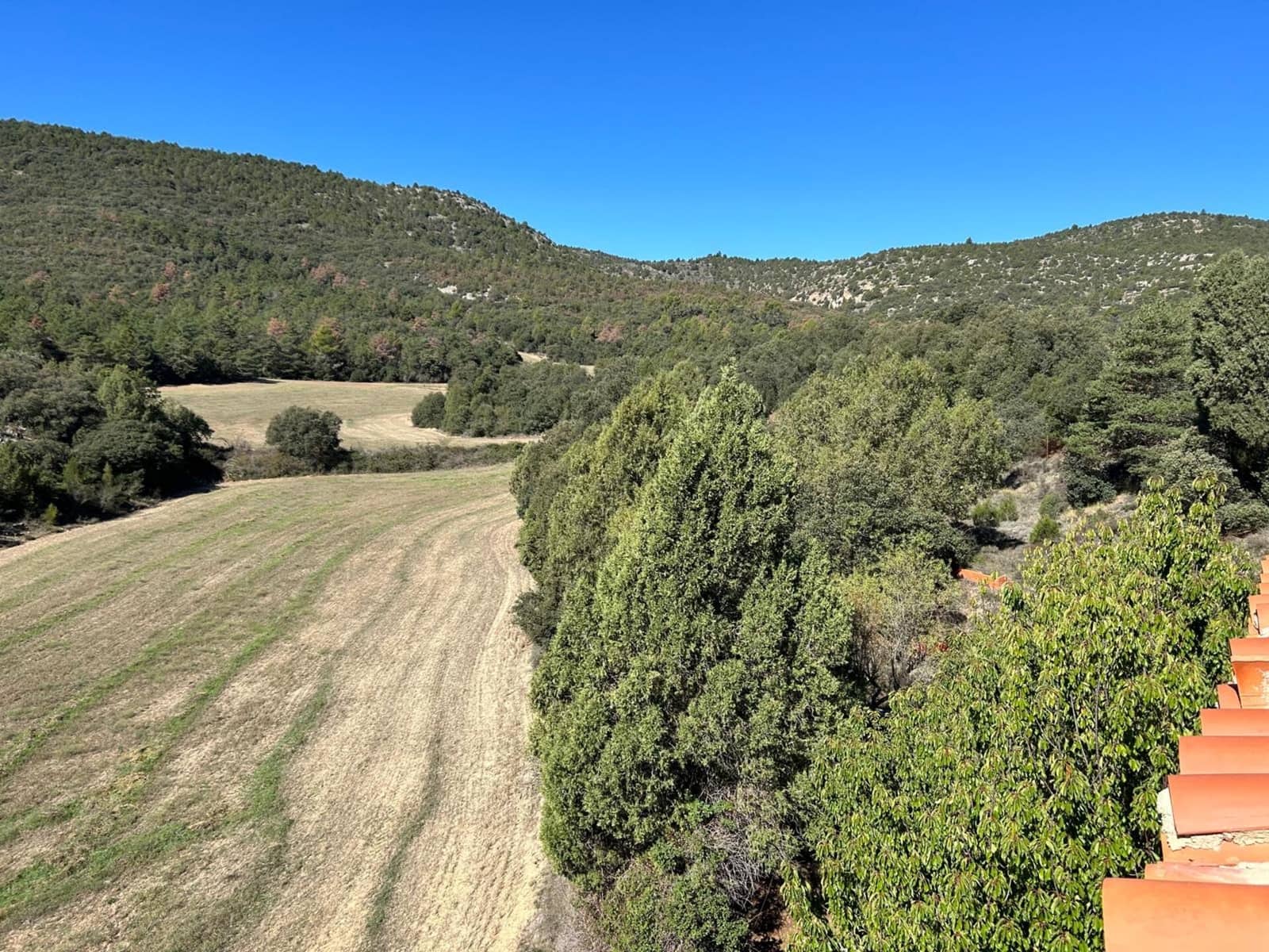 Finca/Landehus til salg i El Toro - € 416.000 (Ref: 9239269)