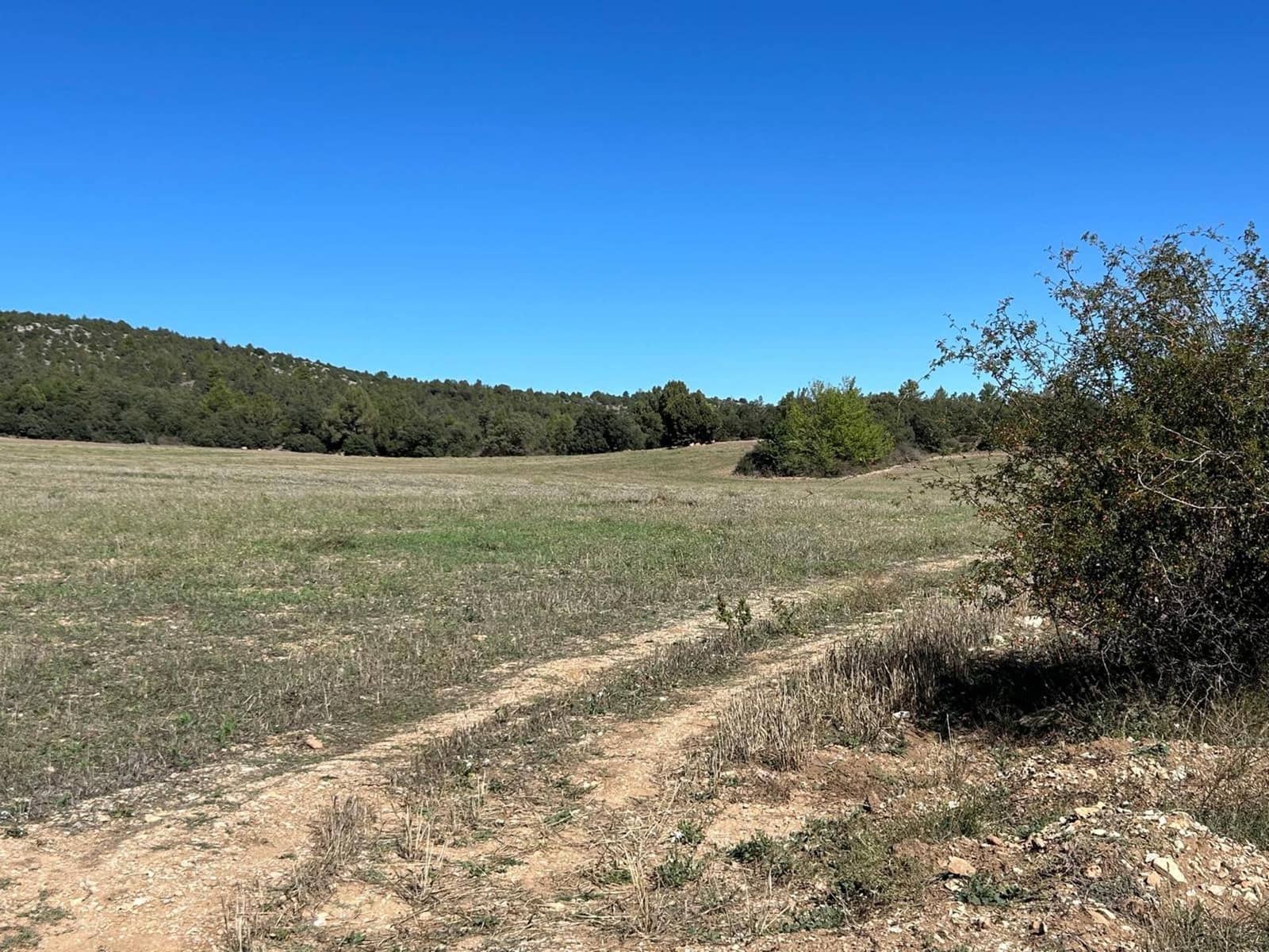 Finca/Landehus til salg i El Toro - € 416.000 (Ref: 9239269)