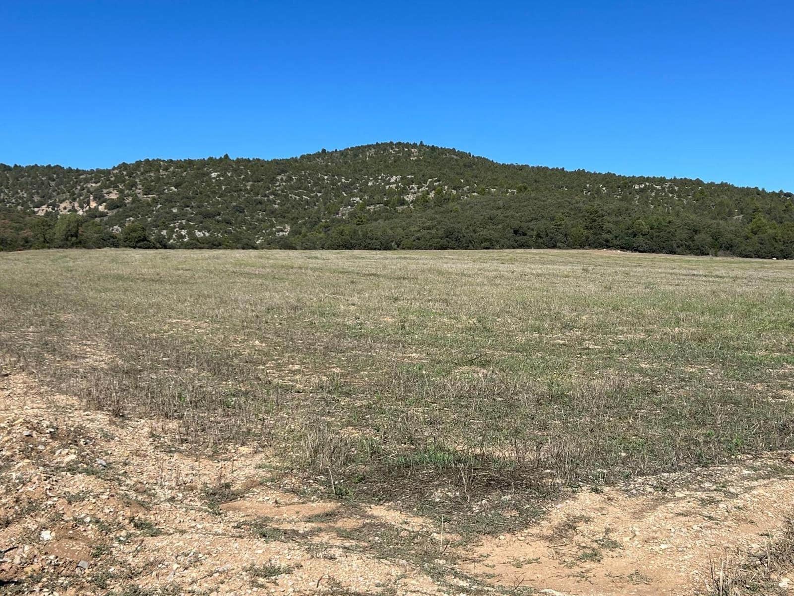 Finca/Landehus til salg i El Toro - € 416.000 (Ref: 9239269)