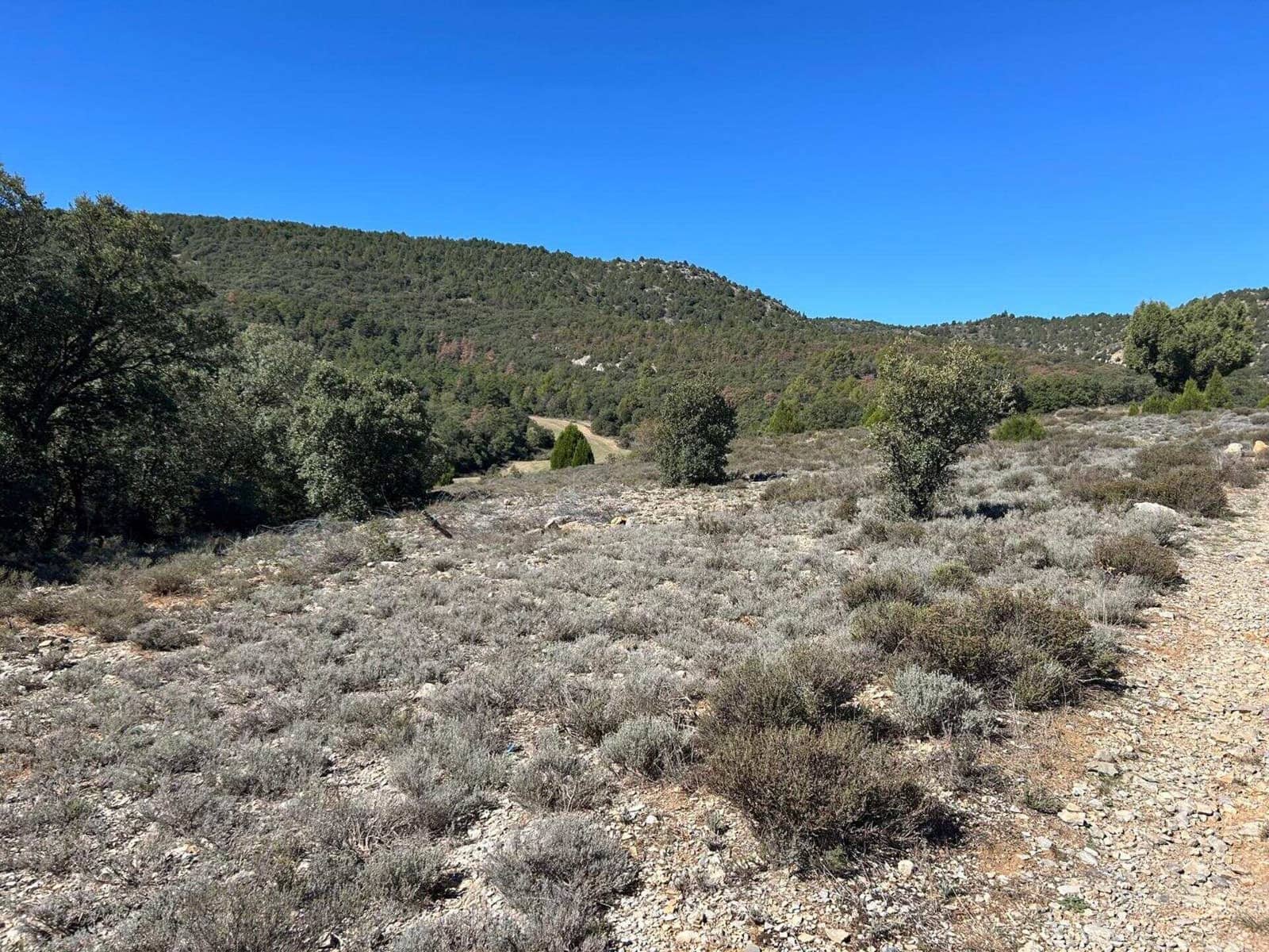 Finca/Landehus til salg i El Toro - € 416.000 (Ref: 9239269)