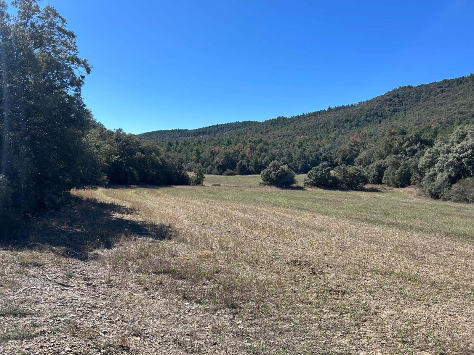 Finca/Landehus til salg i El Toro - € 416.000 (Ref: 9239269)