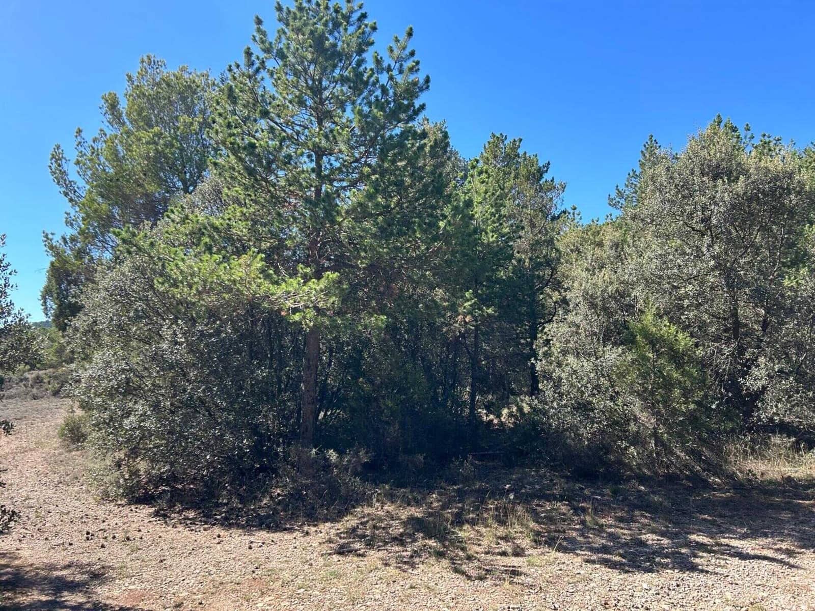 Finca/Landehus til salg i El Toro - € 416.000 (Ref: 9239269)