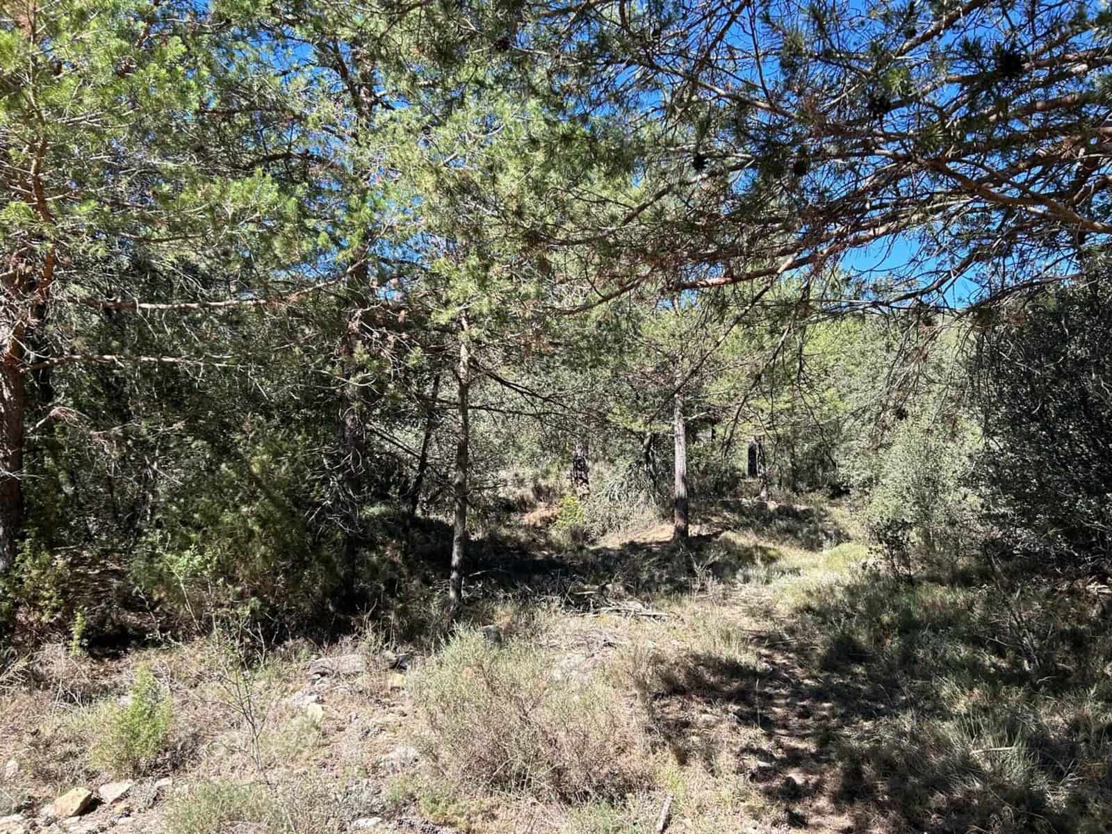 Finca/Landehus til salg i El Toro - € 416.000 (Ref: 9239269)