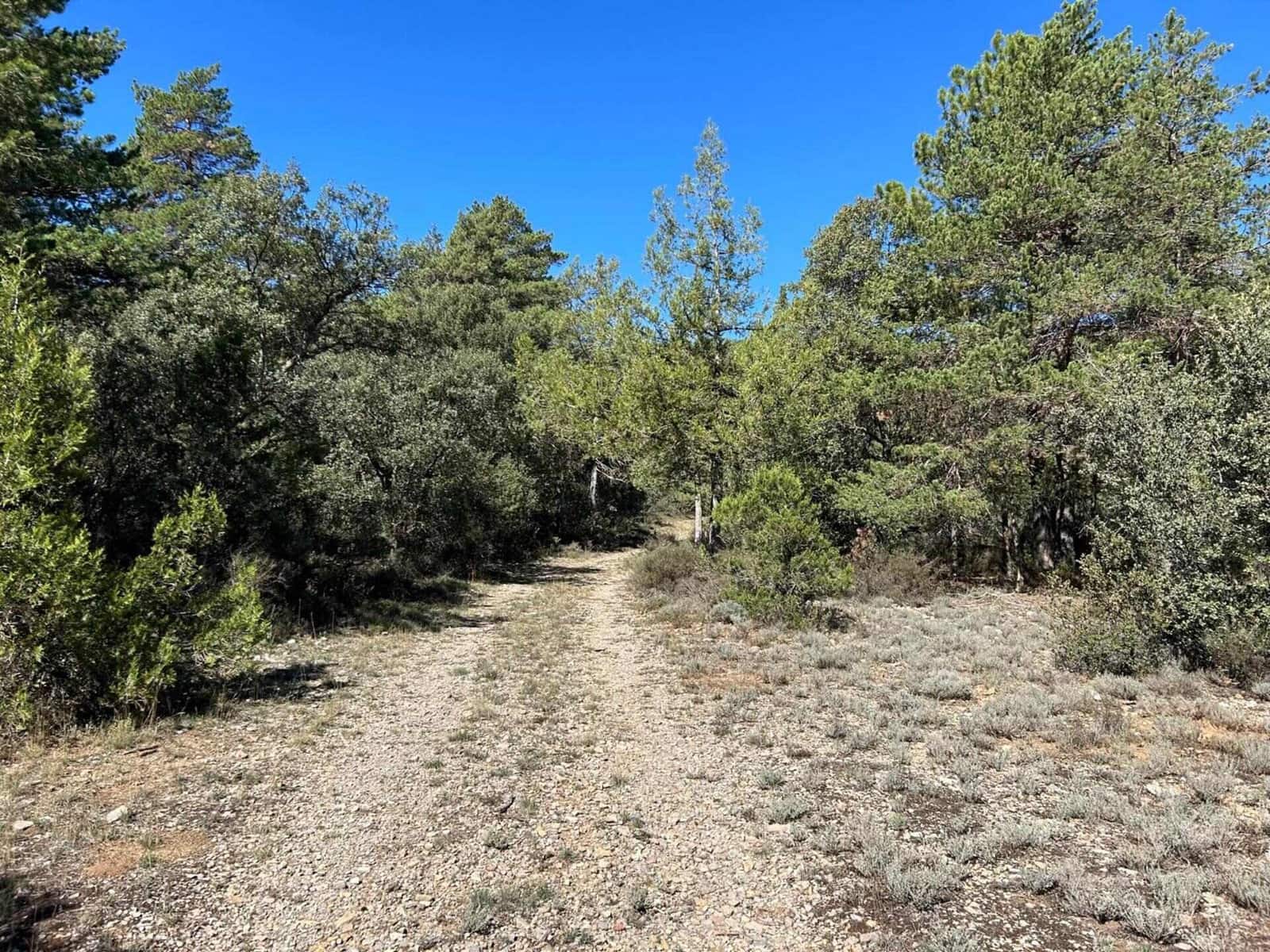 Finca/Landehus til salg i El Toro - € 416.000 (Ref: 9239269)