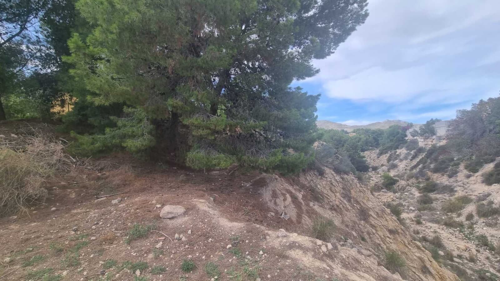 Grunde uden byggetilladelser til salg i Muchamiel / Mutxamel - € 320.000 (Ref: 9239274)