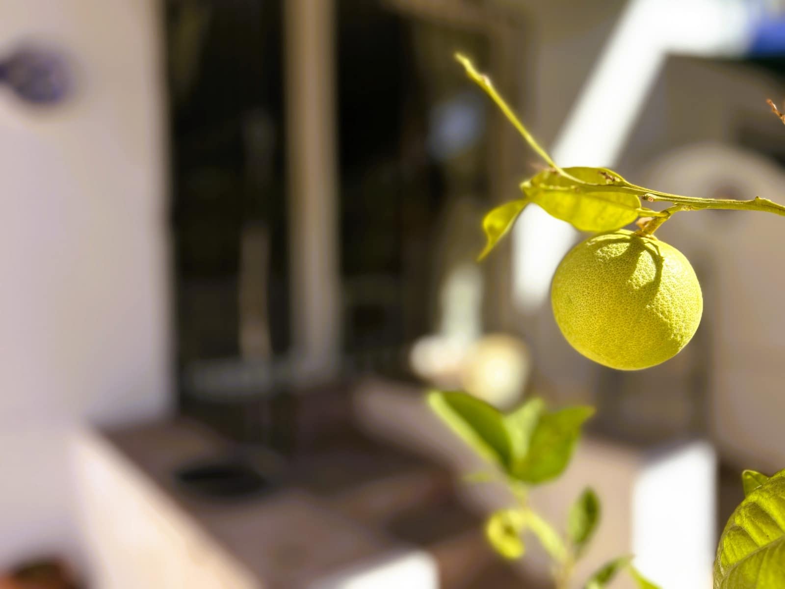 2 bedroom Apartment for sale in Manilva with garage - € 275,000 (Ref: 9344594)