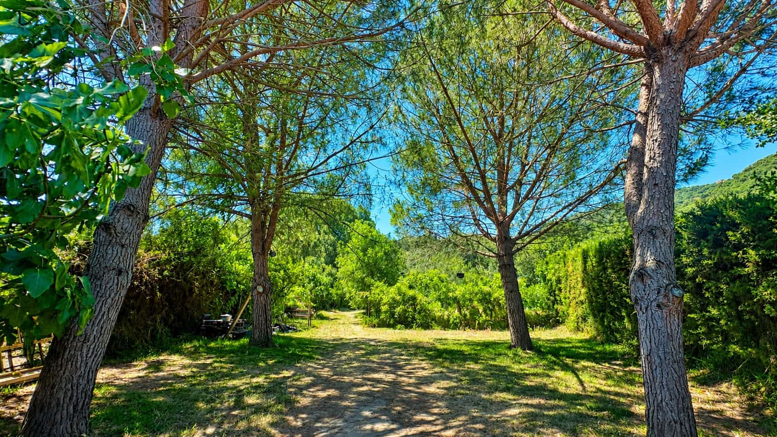 Finca/Casa Rural de 4 habitaciones en Jimena de la Frontera en venta - 850.000 € (Ref: 9899267)