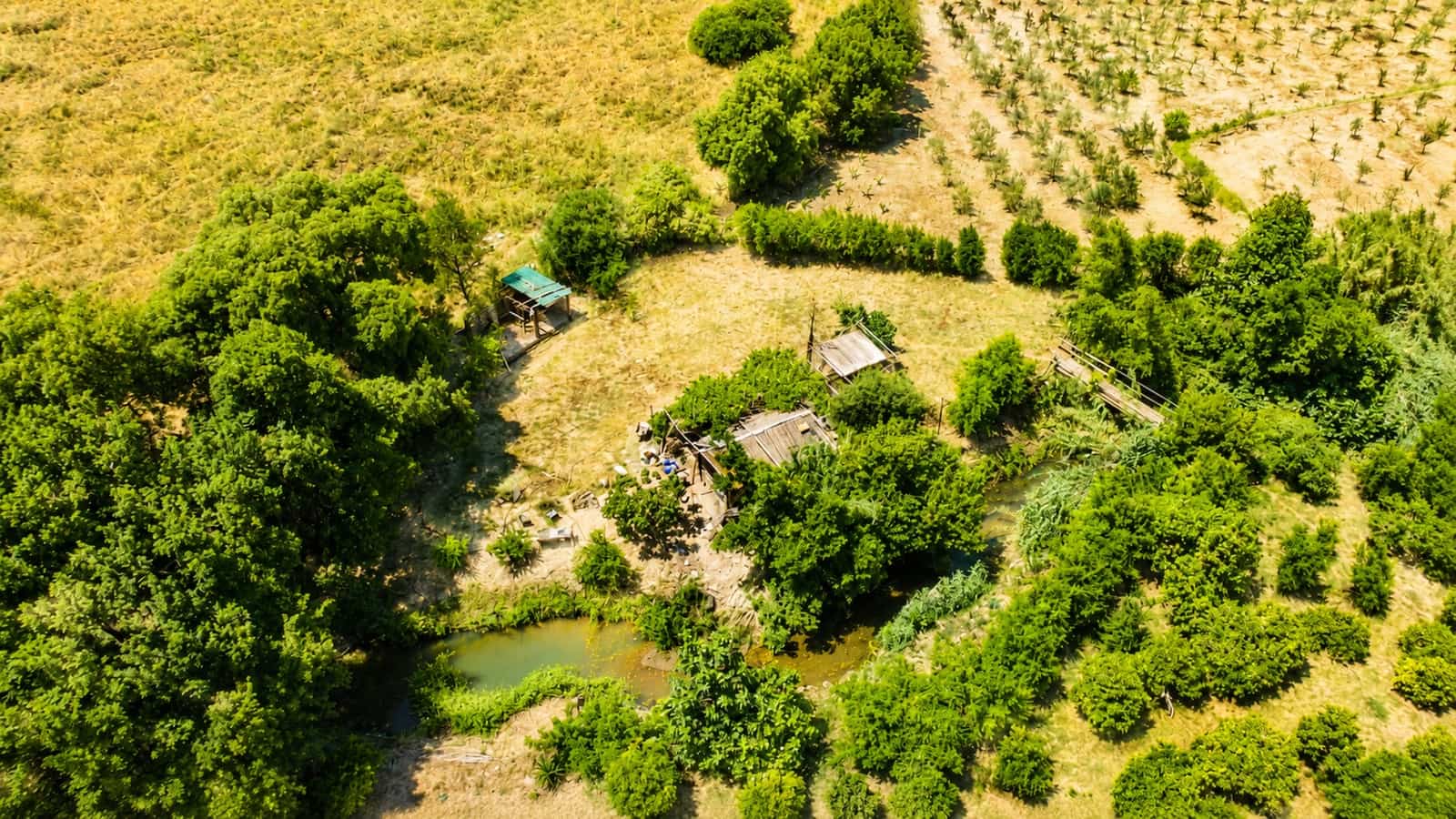 Finca/Casa Rural de 4 habitaciones en Jimena de la Frontera en venta - 850.000 € (Ref: 9899267)