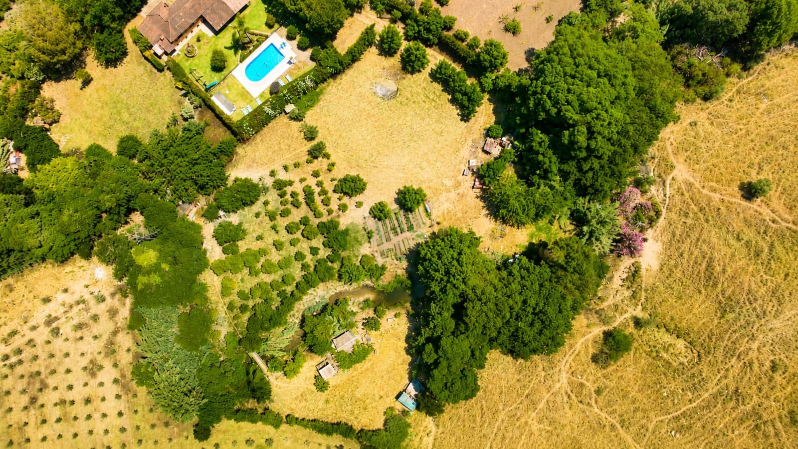 Finca/Casa Rural de 4 habitaciones en Jimena de la Frontera en venta - 850.000 € (Ref: 9899267)