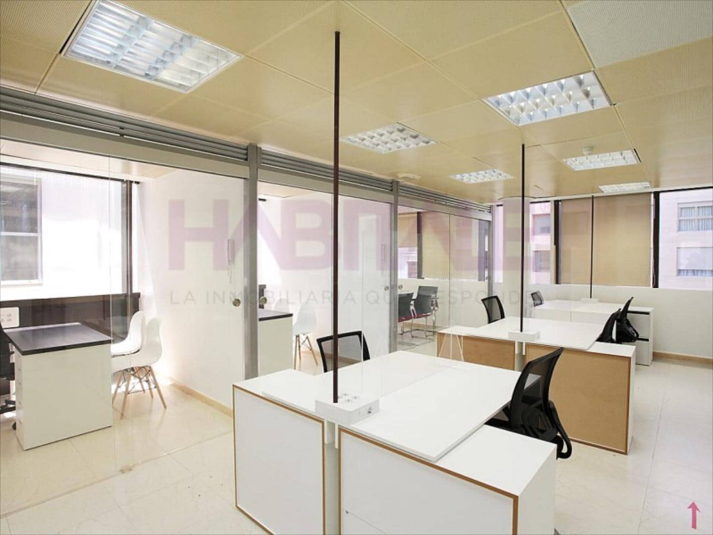 Oficina en Alicante / Alacant ciudad en alquiler - 225 € (Ref: 10089997)