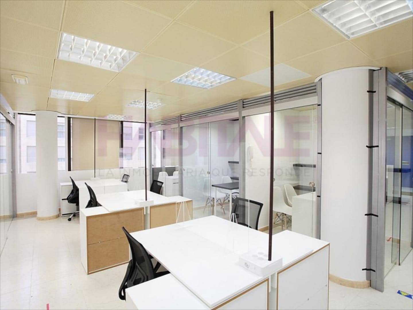 Oficina en Alicante / Alacant ciudad en alquiler - 225 € (Ref: 10089997)