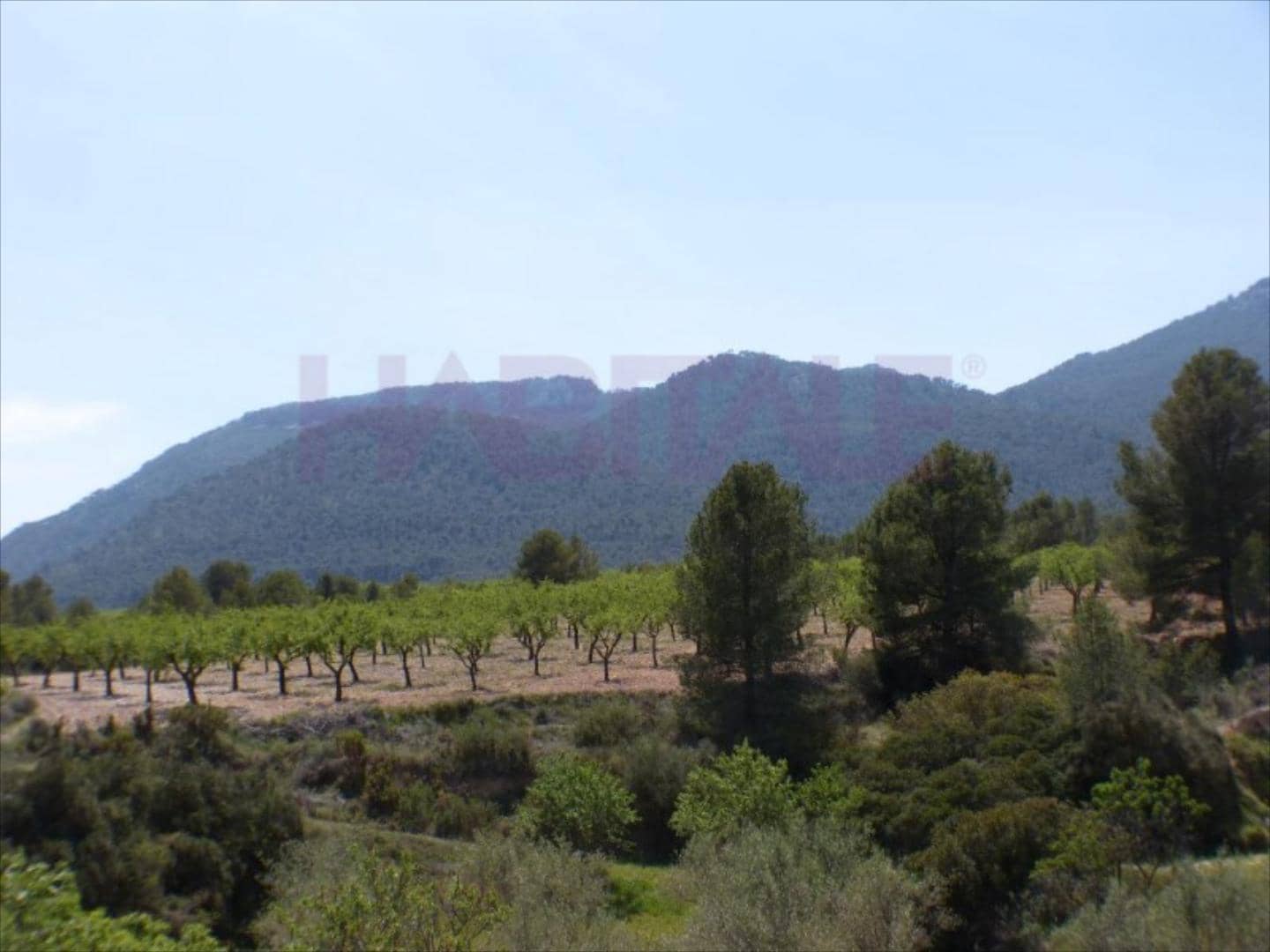 5 camera da letto Finca/Casa di Campagna in vendita in Tibi - 435.000 € (Rif: 8647011)