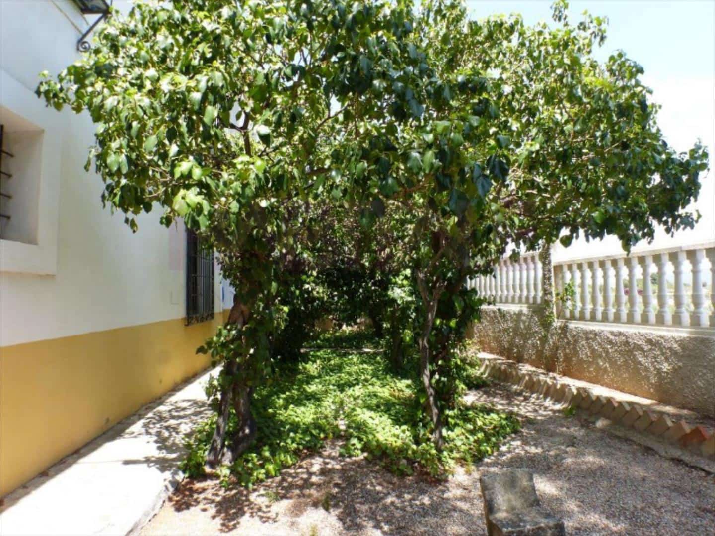 5 camera da letto Finca/Casa di Campagna in vendita in Tibi - 435.000 € (Rif: 8647011)