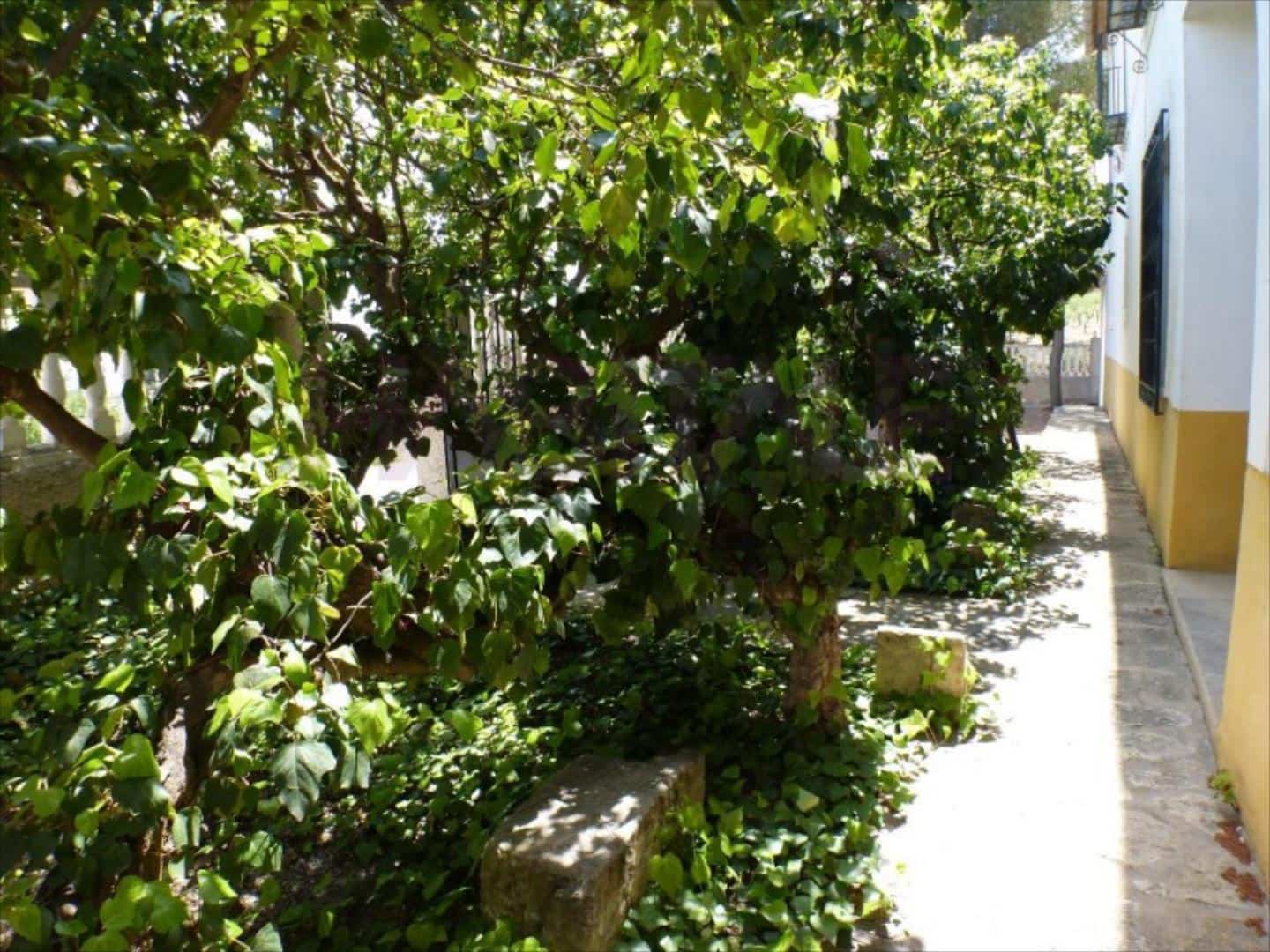 5 camera da letto Finca/Casa di Campagna in vendita in Tibi - 435.000 € (Rif: 8647011)