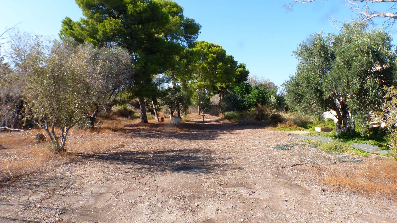 Undeveloped Land for sale in Muchamiel / Mutxamel - € 560,000 (Ref: 8735897)
