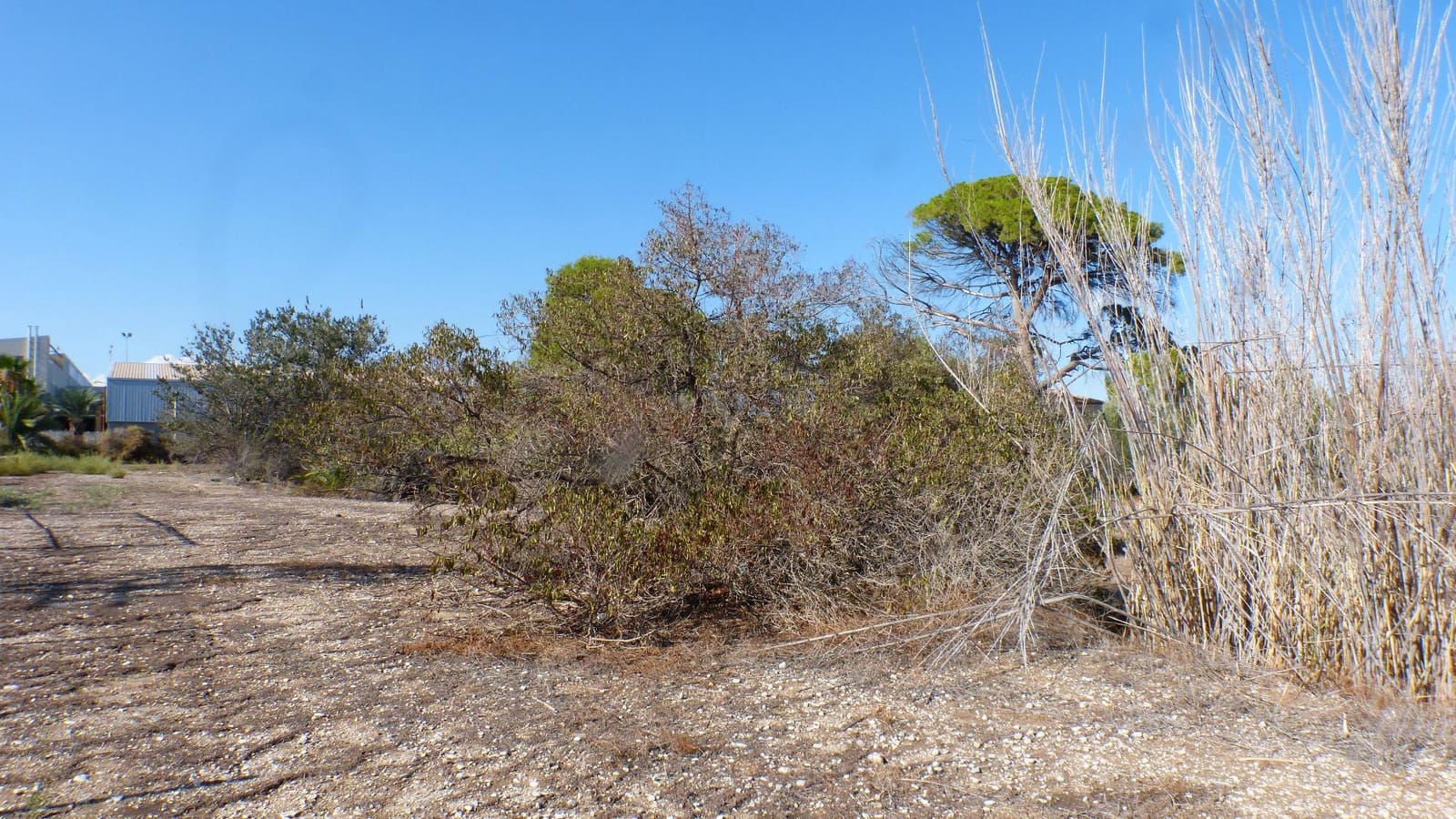 Undeveloped Land for sale in Muchamiel / Mutxamel - € 560,000 (Ref: 8735897)