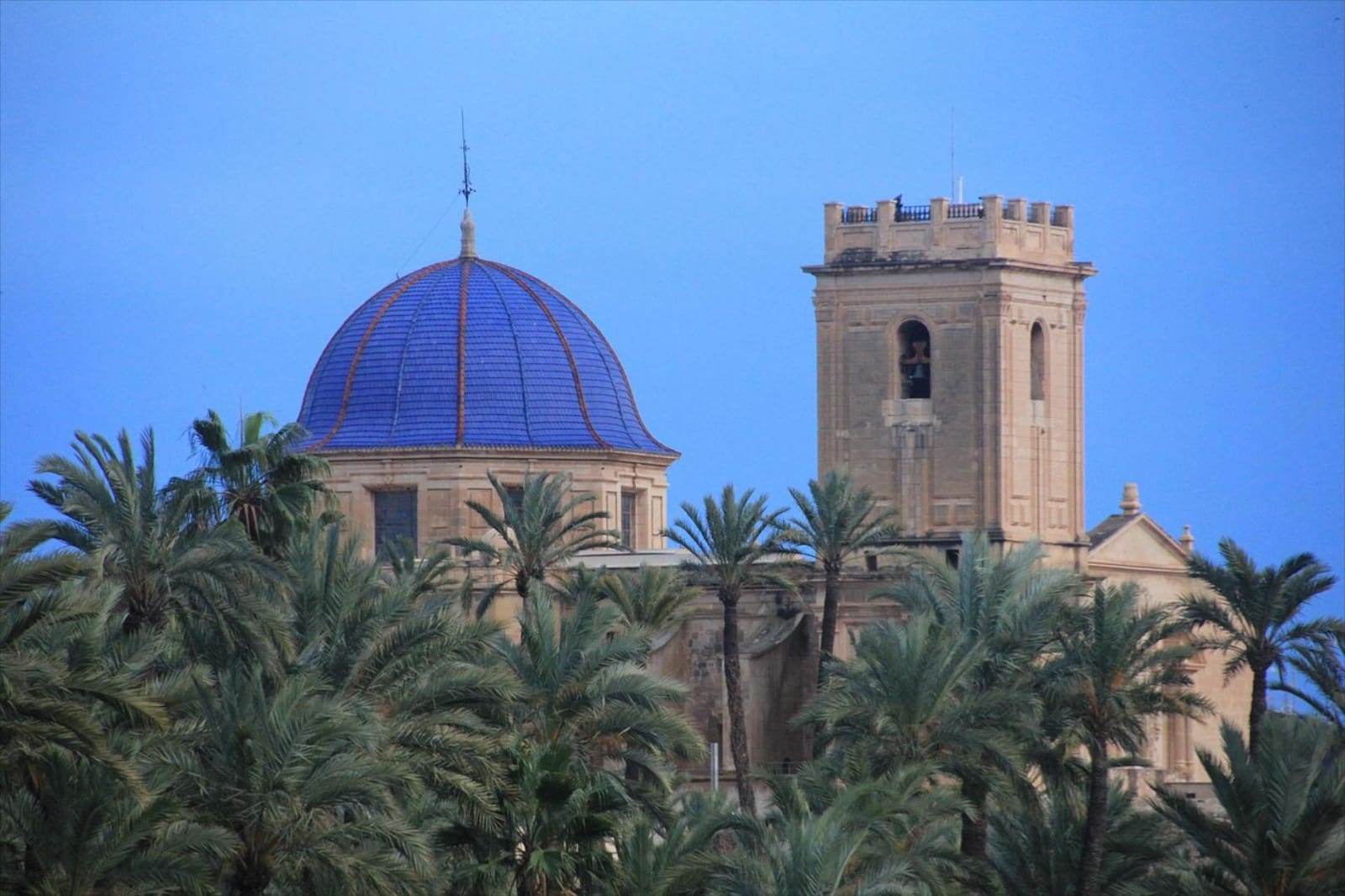 Tomt till salu i Elche / Elx - 276 000 € (Ref: 9437929)