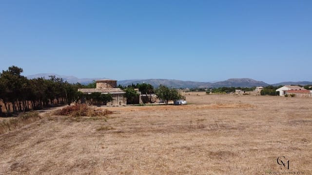 Terrain à Bâtir à vendre à Muro - 475 000 € (Ref: 10098326)