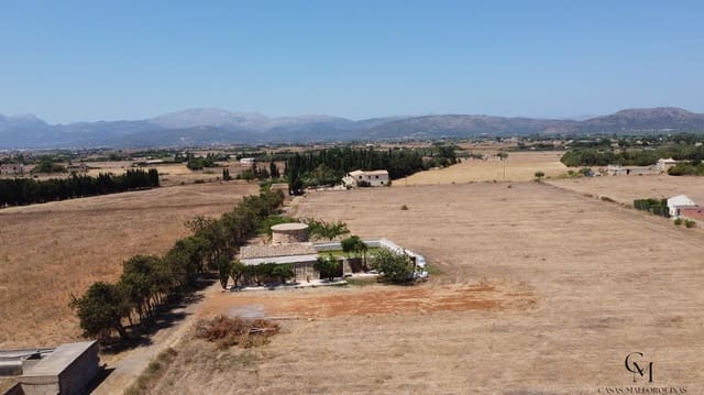 Terrain à Bâtir à vendre à Muro - 475 000 € (Ref: 10098326)
