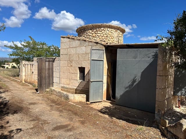 Terrain à Bâtir à vendre à Muro - 475 000 € (Ref: 10098326)