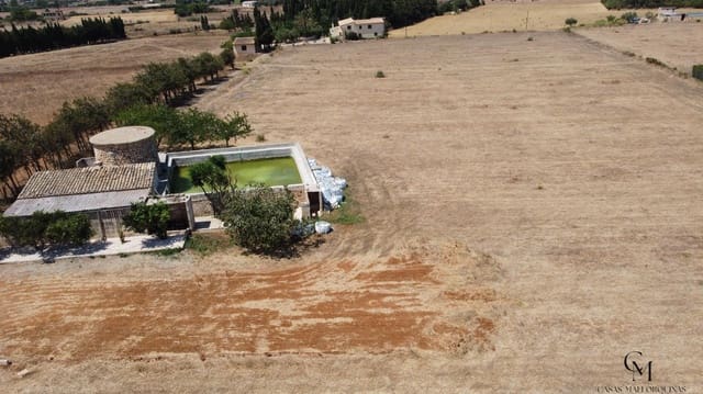 Terrain à Bâtir à vendre à Muro - 475 000 € (Ref: 10098326)