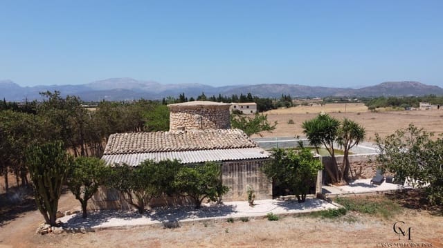 Terrain à Bâtir à vendre à Muro - 475 000 € (Ref: 10098326)