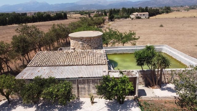 Terrain à Bâtir à vendre à Muro - 475 000 € (Ref: 10098326)