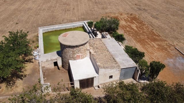 Terrain à Bâtir à vendre à Muro - 475 000 € (Ref: 10098326)