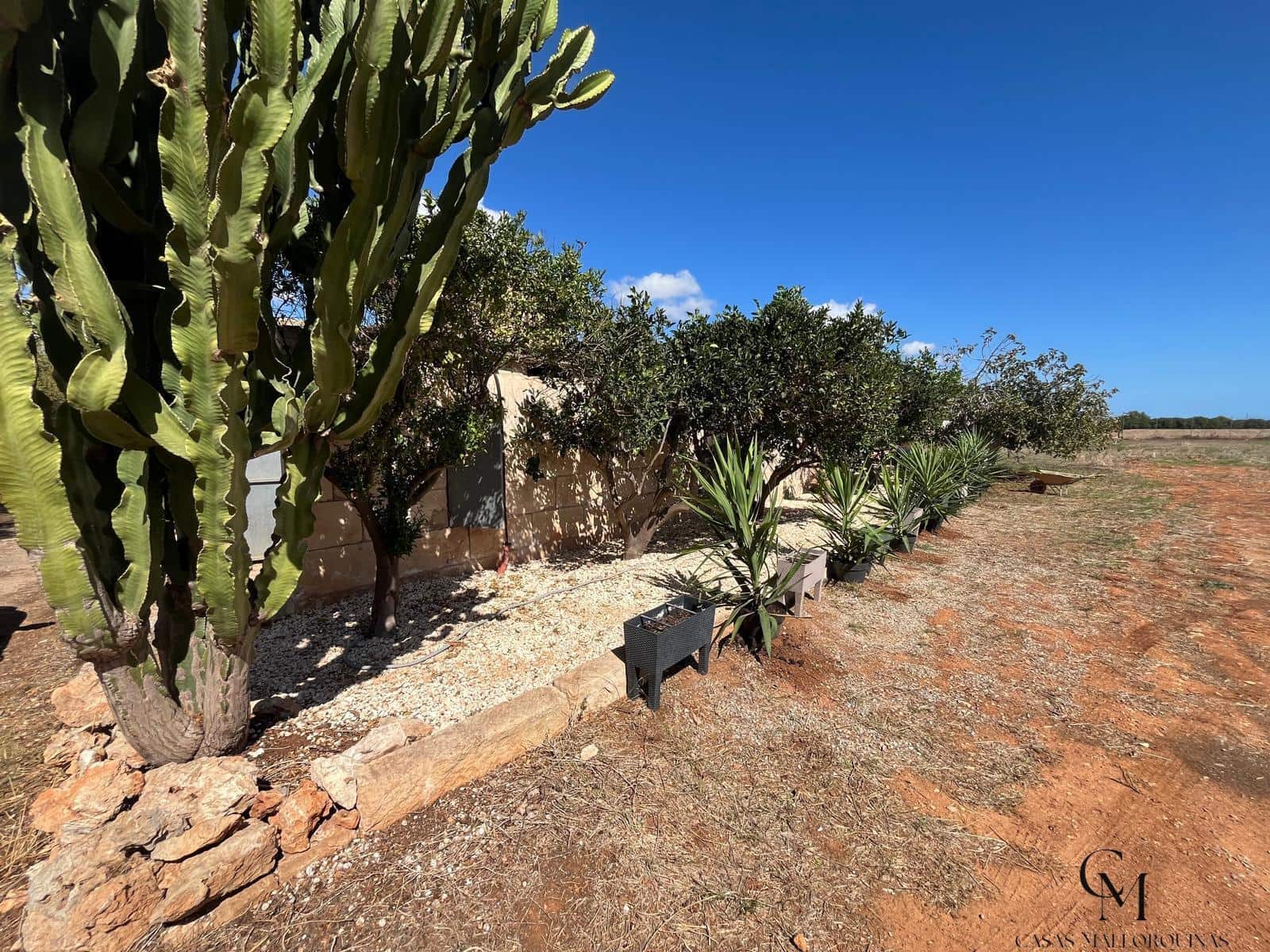 Terrain à Bâtir à vendre à Muro - 475 000 € (Ref: 10098326)