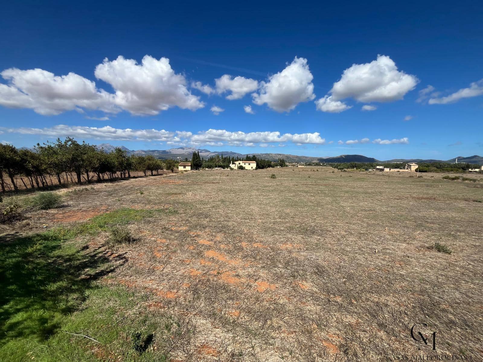 Terrain à Bâtir à vendre à Muro - 475 000 € (Ref: 10098326)