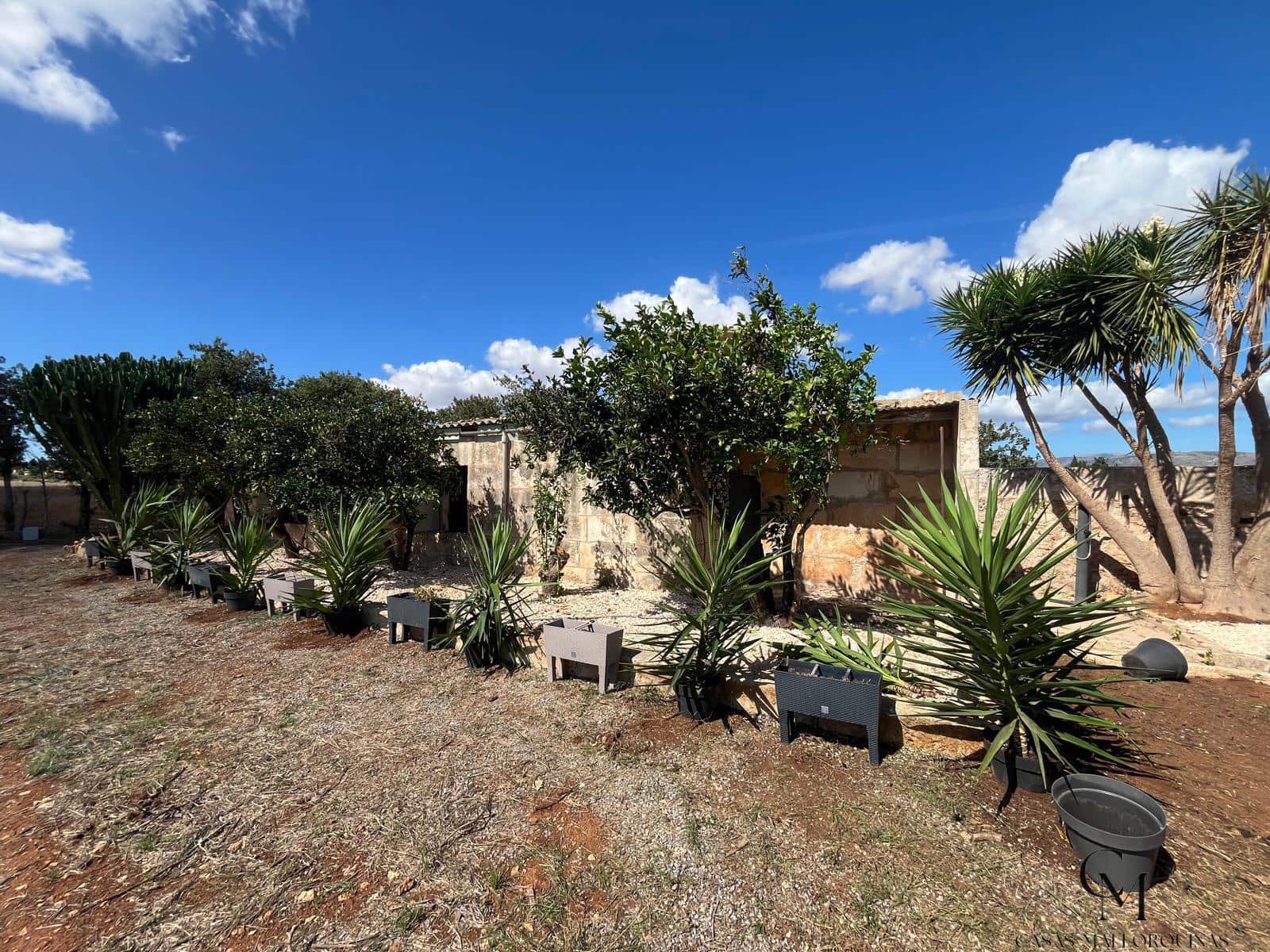 Terrain à Bâtir à vendre à Muro - 475 000 € (Ref: 10098326)