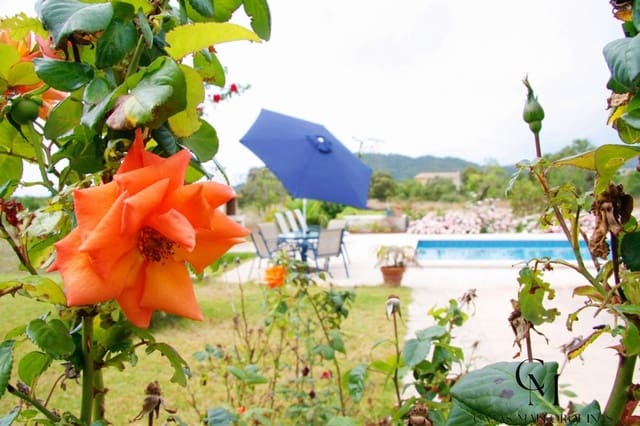 6 Zimmer Villa zu verkaufen in Son Servera mit Pool - 1.890.000 € (Ref: 9996087)