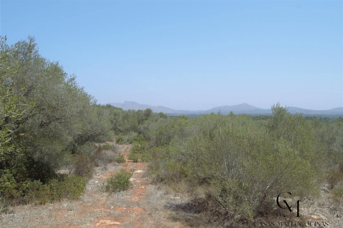 Bouwgrond te koop in Ca'n Picafort - € 430.000 (Ref: 9996088)