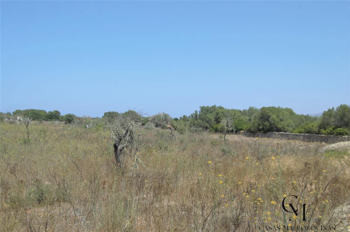 Bouwgrond te koop in Ca'n Picafort - € 430.000 (Ref: 9996088)