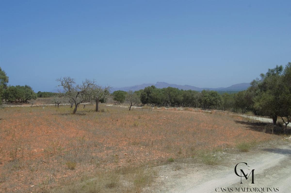 Bouwgrond te koop in Ca'n Picafort - € 430.000 (Ref: 9996088)