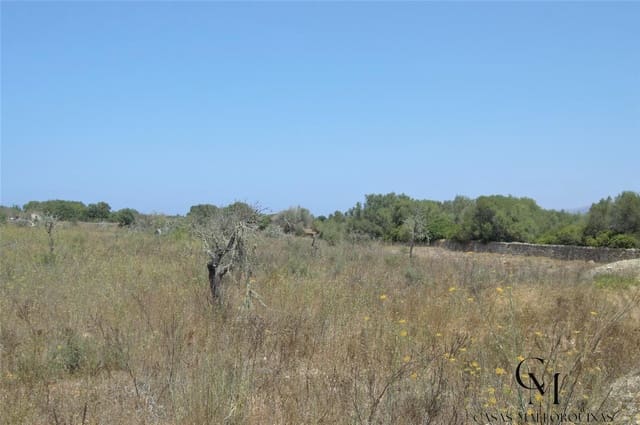 Bouwgrond te koop in Ca'n Picafort, Santa Margalida - € 430.000 (Ref: 9996088)