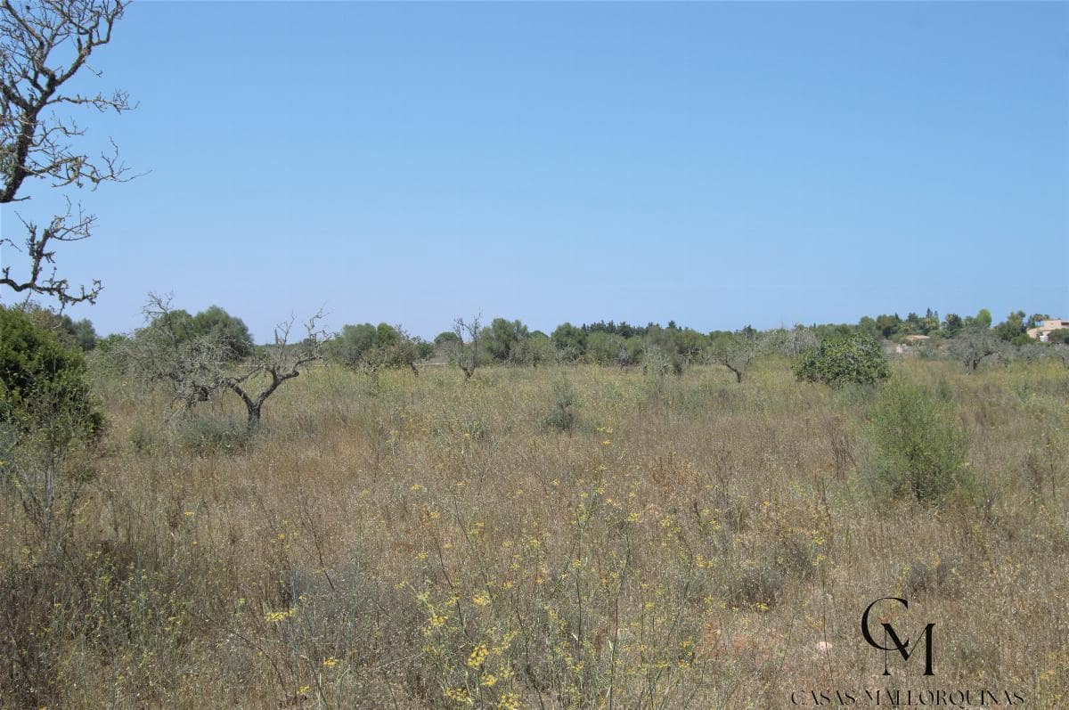 Bouwgrond te koop in Ca'n Picafort - € 430.000 (Ref: 9996088)