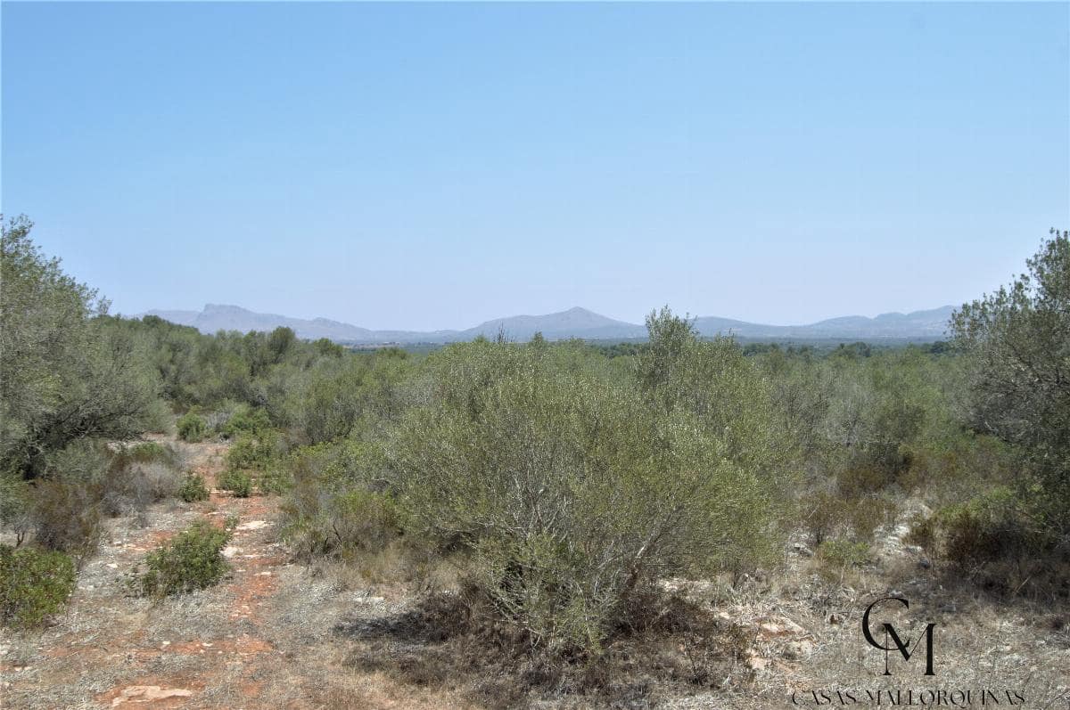Bouwgrond te koop in Ca'n Picafort - € 430.000 (Ref: 9996088)