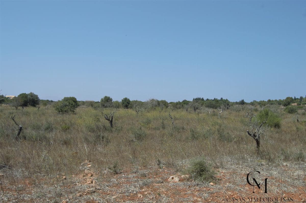 Bouwgrond te koop in Ca'n Picafort - € 430.000 (Ref: 9996088)