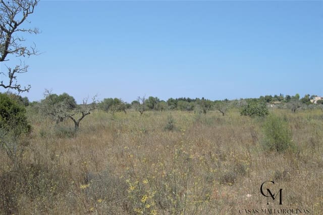 Bouwgrond te koop in Ca'n Picafort, Santa Margalida - € 430.000 (Ref: 9996088)