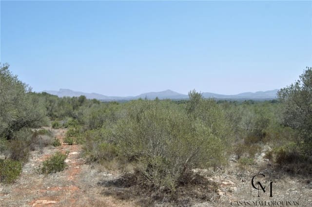 Bouwgrond te koop in Ca'n Picafort, Santa Margalida - € 430.000 (Ref: 9996088)