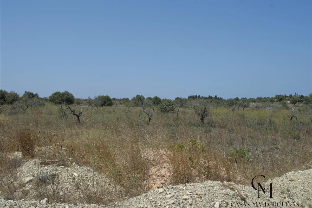 Bouwgrond te koop in Ca'n Picafort - € 430.000 (Ref: 9996088)