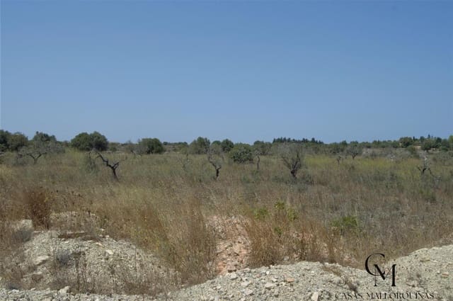 Bouwgrond te koop in Ca'n Picafort, Santa Margalida - € 430.000 (Ref: 9996088)